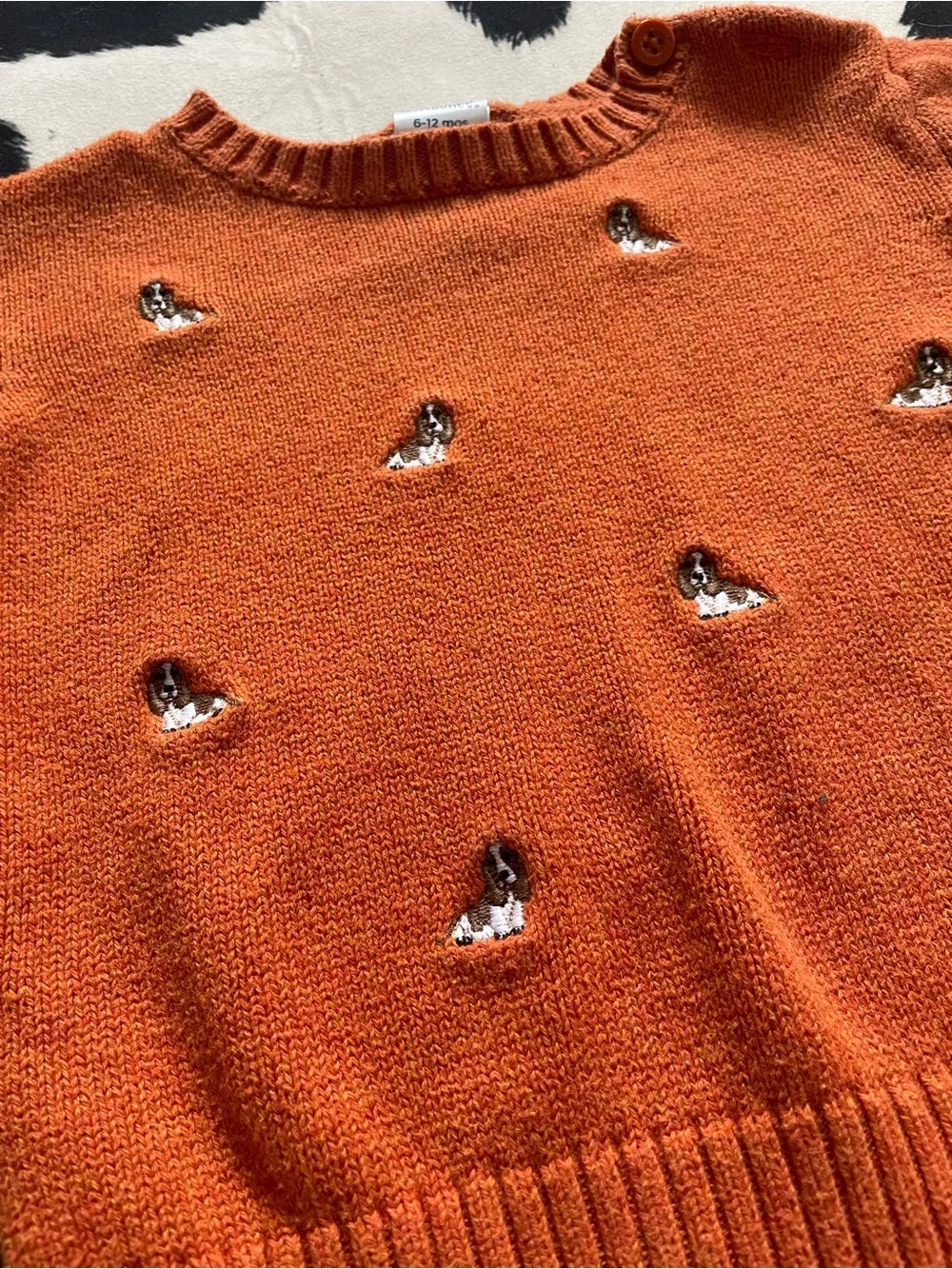 Gymboree Basset Hound Orange Sweater - Boy